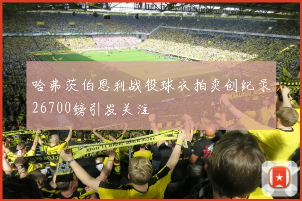 哈弗茨伯恩利战役球衣拍卖创纪录26700镑引发关注